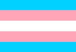 trans flag Meme Template