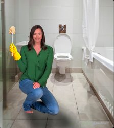 Katie Britt cleans a toilet Meme Template
