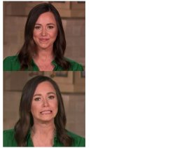 Katie Britt Meme Template