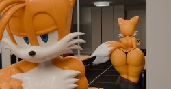 tails Meme Template