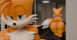 tails Meme Template