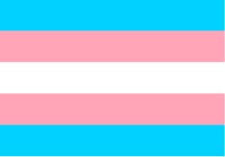 Trans Flag Meme Template