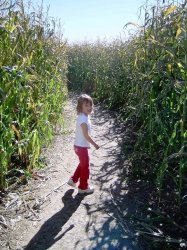 Girl In The Corn Meme Template