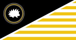 American anarcho-capitalist libertarian flag Meme Template