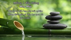 CHÚC ĐẦU THÁNG MAY MẮN Meme Template