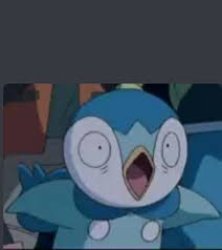 Surprised piplup Meme Template