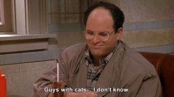 Costanza guys with cats I don't know Meme Template