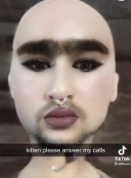 Kitten answer the phone Meme Template