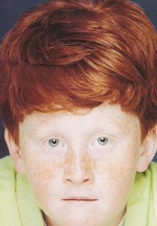 ginger skyler Meme Template
