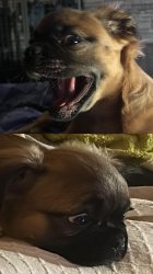 When I, when they Meme Template