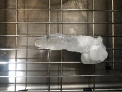 THAT ICE IS NSFW Meme Template