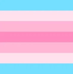 Transfem Flag Meme Template