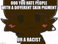 Ur Racist Meme Template