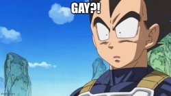 Vegeta hates gayness Meme Template