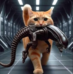 Alien killing CAT Meme Template