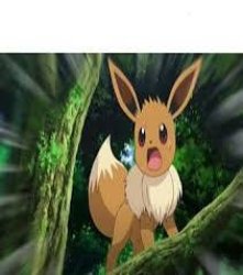 Surprised Eevee Meme Template