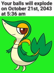 Explosive balls (Snivy) Meme Template