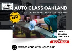 Auto Glass Oakland Meme Template