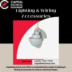 Lighting & Wiring Accessories Meme Template