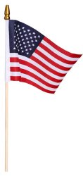 Small American Flag Meme Template