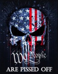 We the People Meme Template