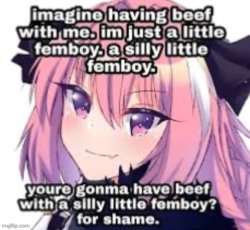 imagine having beef with a silly little femboy Meme Template