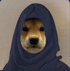 $Hijab Meme Template