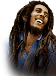 bob marley Meme Template