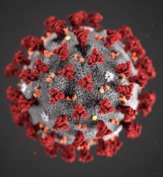 corona virus Meme Template
