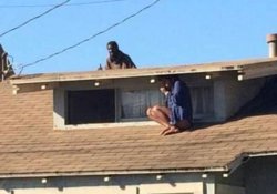 Girl hiding on roof Meme Template
