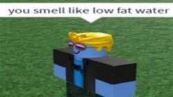 you smell like low fat water Meme Template