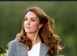 She's just Kate Meme Template