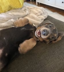 Gary 3 Meme Template