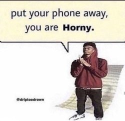 Put Your Phone Away, You Are Horny. Meme Template