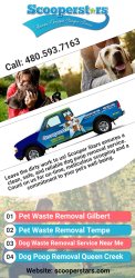 Pet Waste Removal Tempe Meme Template