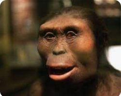 Lucy the ape :) Meme Template