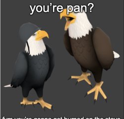pan joke Meme Template