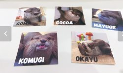 LOUTRE Characters 2 Meme Template