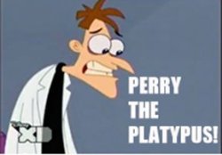 Perry the Platypus Meme Template