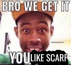 Bro we get it , you like Scarf Meme Template