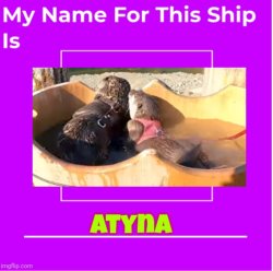 Atyna Shipping Wiki Fandom Meme Template