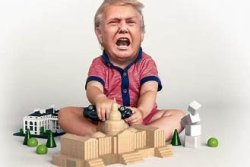 Toddler Trump Meme Template
