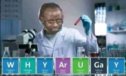 why are u gay Meme Template