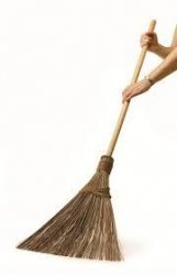 BROOM WALIS Meme Template