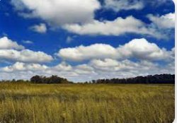 Cumulus Clouds Meme Template