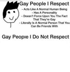 Gay people I respect vs gay people I do not respect Meme Template