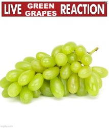 Live Green Grapes Reaction Meme Template