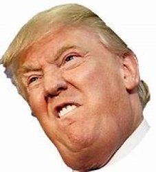 Trump Head Meme Template