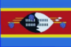 Flag of Eswatini Meme Template