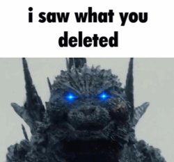 I saw what you deleted (minus one) Meme Template
